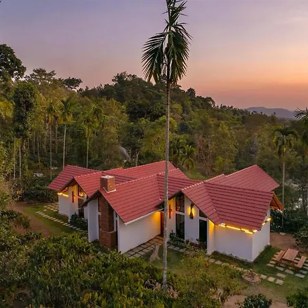 Cicada By Veo, Stayvista - 2Bhk Pet-Friendly Villa With Bar-3